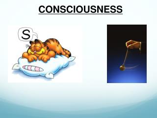 CONSCIOUSNESS