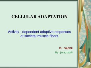 CELLULAR ADAPTATION Activity - dependent adaptive responses of skeletal muscle fibers Dr : GAEINI