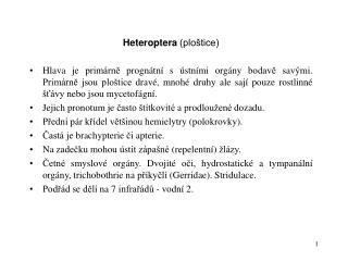 Heteroptera (ploštice)