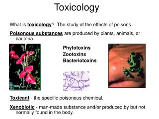 Toxicology