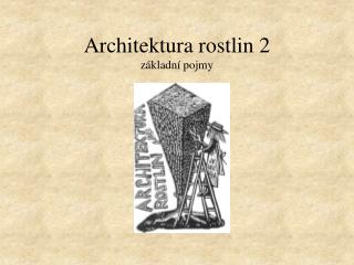 Architektura rostlin 2 základní pojmy