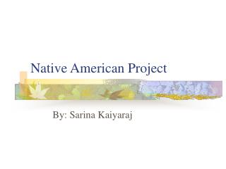 Native American Project