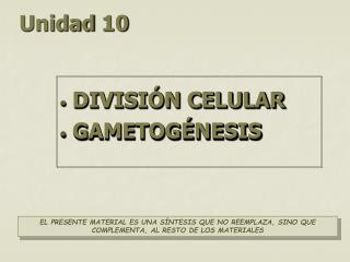 Unidad 10