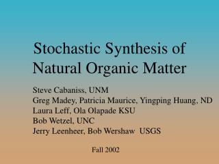 Stochastic Synthesis of Natural Organic Matter