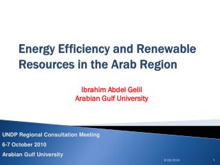 Energy Efficiency and Renewable Resources in the Arab Region