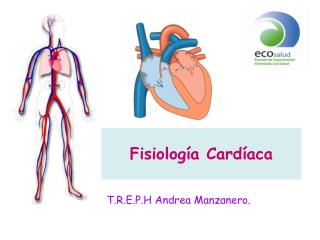 Fisiología Cardíaca