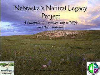 N ebraska’s N atural L egacy P roject A blueprint for conserving wildlife and their habitats