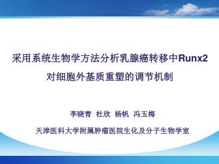 采用系统生物学方法分析乳腺癌转移中 Runx2 对细胞外基质重塑的调节机制