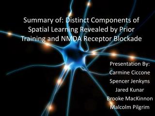 Presentation By: Carmine Ciccone Spencer Jenkyns Jared Kunar Brooke MacKinnon Malcolm Pilgrim