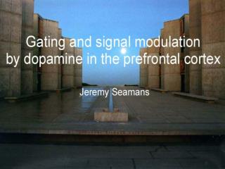 Dopamine regulates working memory and its cellular correlates in the PFC