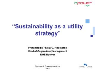 “Sustainability as a utility strategy ”