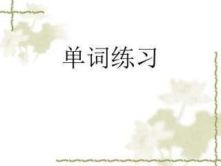 单词练习