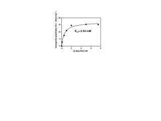 K m = 0.54 mM