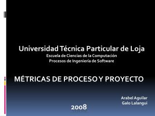MÉTRICAS DE PROCESO Y PROYECTO 2008