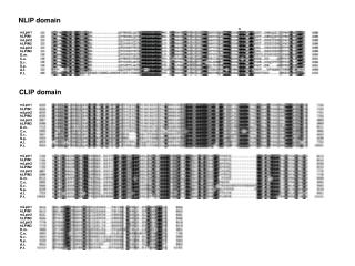 NLIP domain