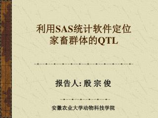 利用 SAS 统计软件定位 家畜群体的 QTL