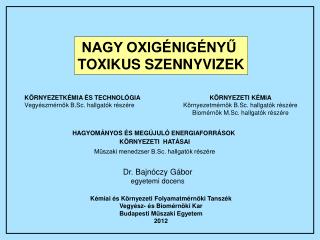 HAGYOMÁNYOS ÉS MEGÚJULÓ ENERGIAFORRÁSOK KÖRNYEZETI HATÁSAI