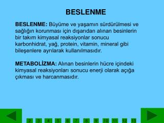 BESLENME