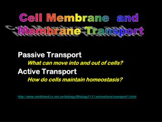 Passive Transport What can move into and out of cells?