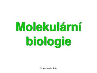 Molekulární biologie
