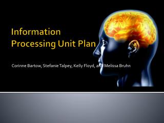 Information Processing Unit Plan
