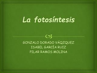 La fotosíntesis