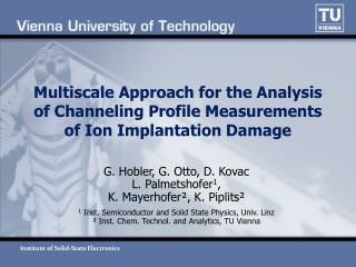 Multiscale Approach for the Analysis of Channeling Profile Measurements of Ion Implantation Damage