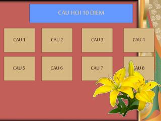 CAU 1
