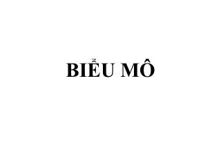 BIỂU MÔ