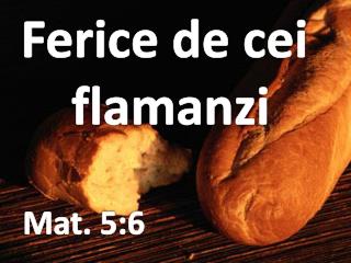 Ferice de cei flamanzi