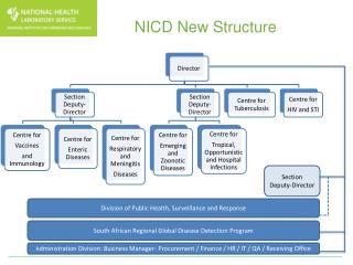 NICD New Structure