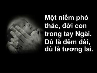 Một niềm phó thác, đời con trong tay Ngài. Dù là đêm dài, dù là tương lai.