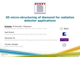 3D micro-structuring of diamond for radiation detector applications