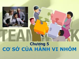 Chương 5 CƠ SỞ CỦA HÀNH VI NHÓM