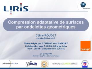 Compression adaptative de surfaces par ondelettes géométriques