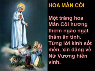 HOA MÂN CÔI