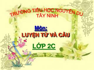 TRƯỜNG TIỂU HỌC NGUYỄN DU TÂY NINH