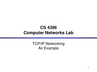 CS 4396 Computer Networks Lab