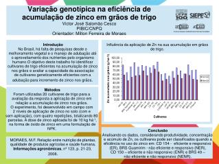 Métodos Foram utilizadas 20 cultivares de trigo para a