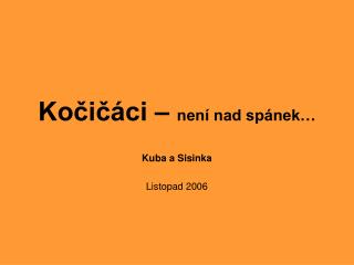 Kočičáci – není nad spánek…