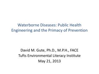 David M. Gute, Ph.D., M.P.H., FACE Tufts Environmental Literacy Institute May 21, 2013