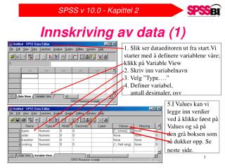 Innskriving av data (1)