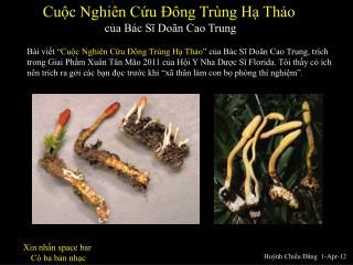 Cuộc Nghiên Cứu Đông Trùng Hạ Thảo của Bác Sĩ Doãn Cao Trung