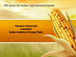 Tamanna Chaturvedi Consultant Indian Institute of Foreign Trade