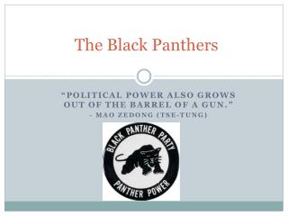 The Black Panthers