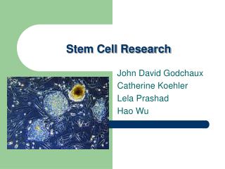 Stem Cell Research