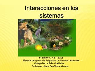 5º Básico A y B - 2011