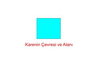 Karenin Çevresi ve Alanı