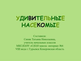 У ДИ ВИ ТЕ ЛЬ НЫ Е НА СЕ КО МЫ Е