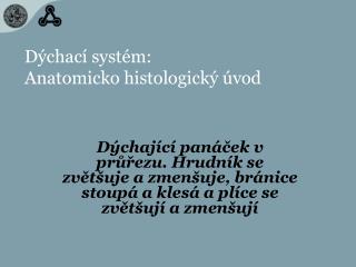 Dýchací systém: Anatomicko histologický úvod